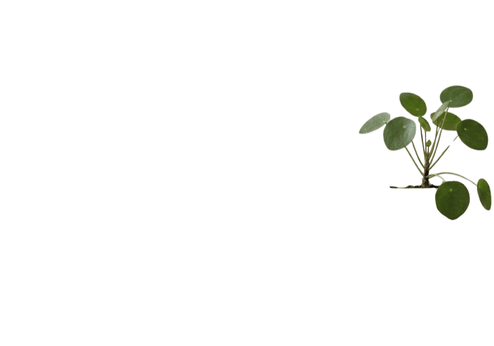 Vessel variants: click a region to view that option